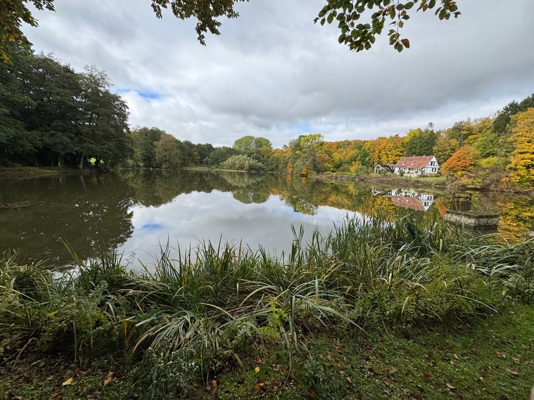 Externsteine-霍恩-巴特迈恩贝格必去景点