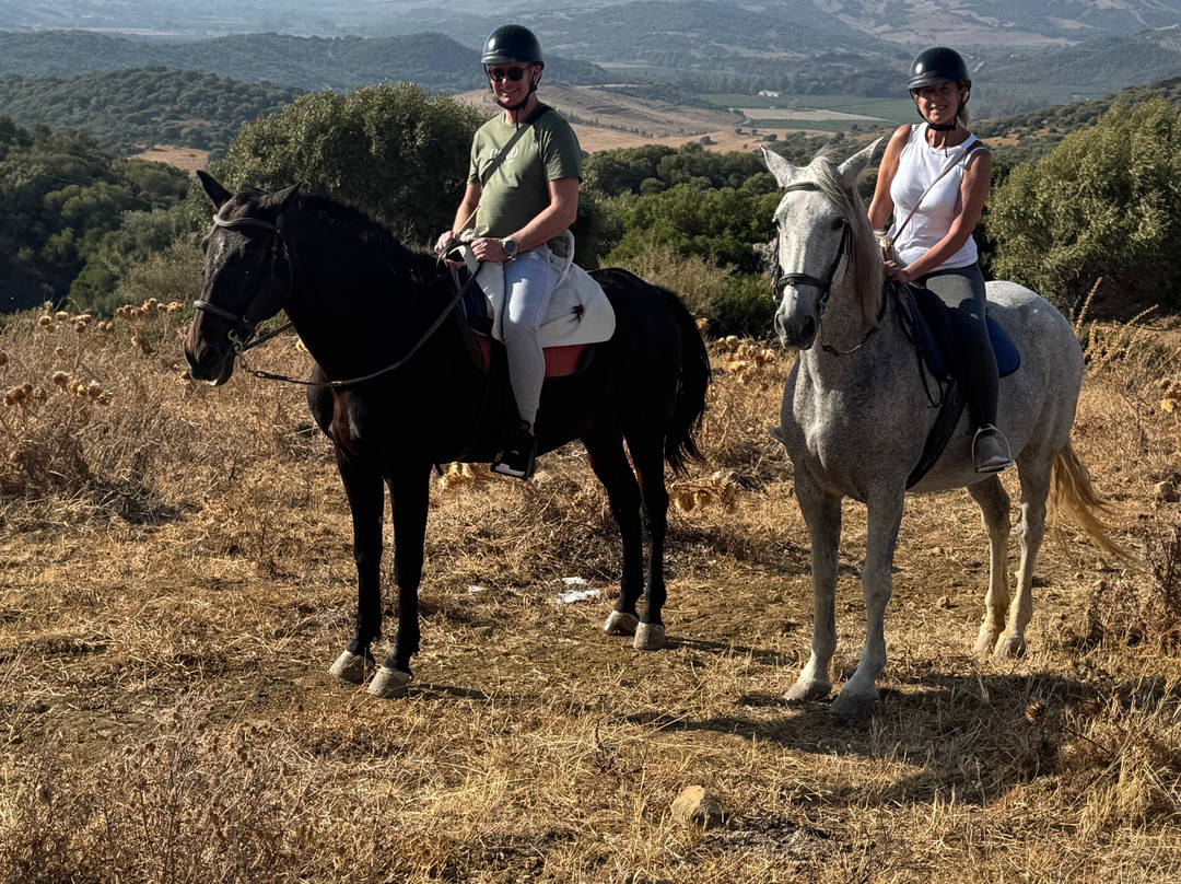 Riding Fun In The Sun-卡萨雷斯必去景点