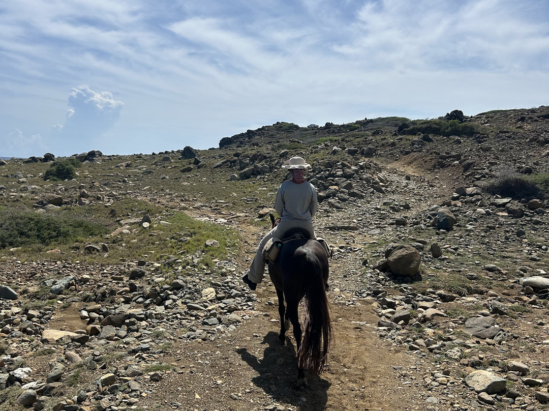 Rancho Loco-Santa Cruz必去景点