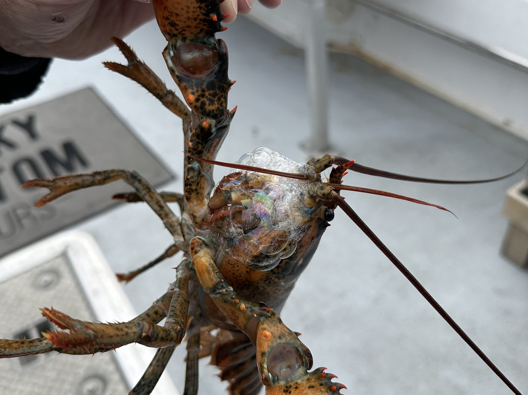 Rocky Bottom Fisheries-波特兰必去景点