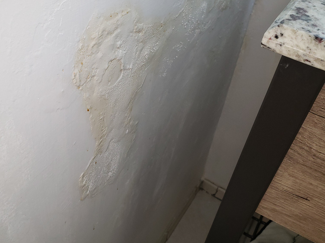 雪松小屋酒店主图