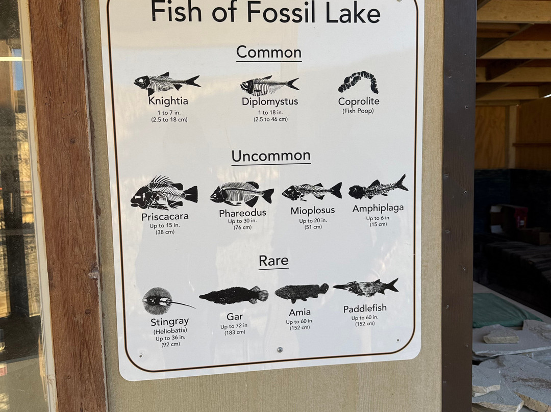 Fossil Lake Safari By Fossilera Adventures-Kemmerer必去景点