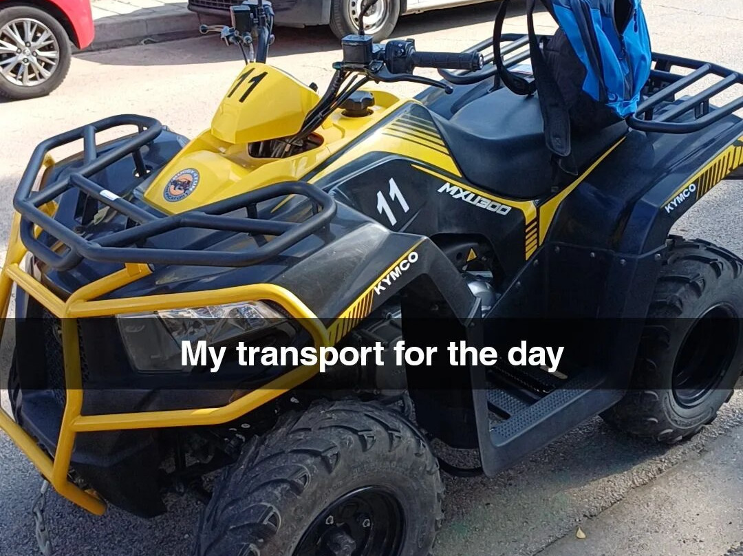 Buggy 4 Fun-Ca'n Picafort必去景点