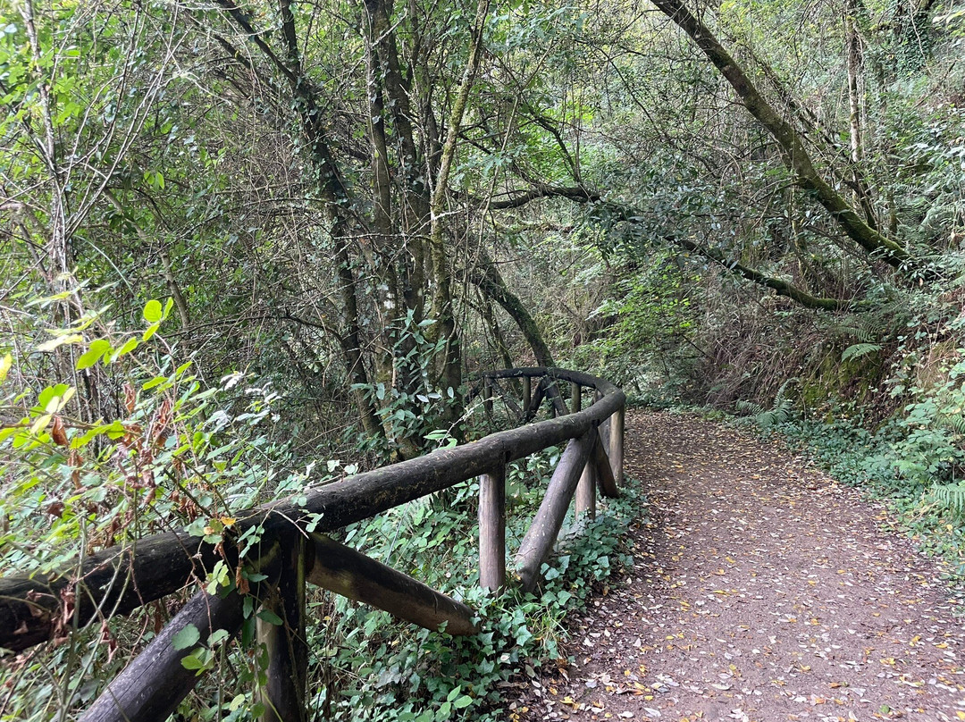 Fervenza do Toxa-西莉达必去景点