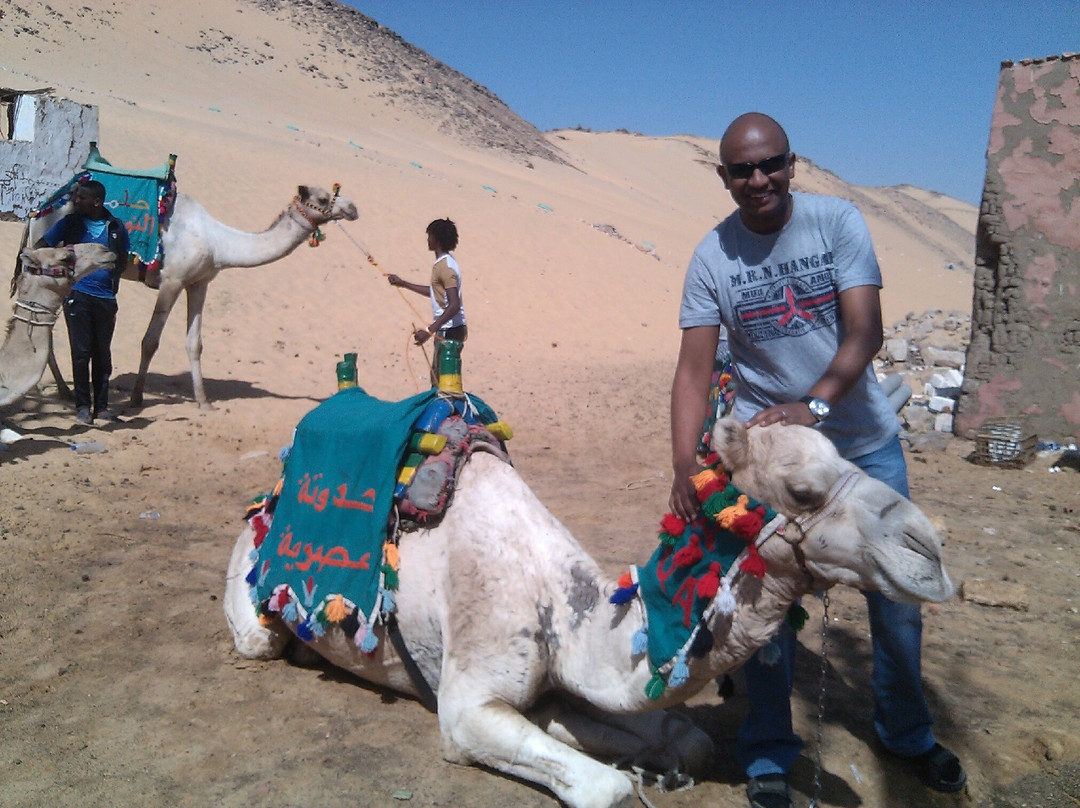 Safari Abu Simbel