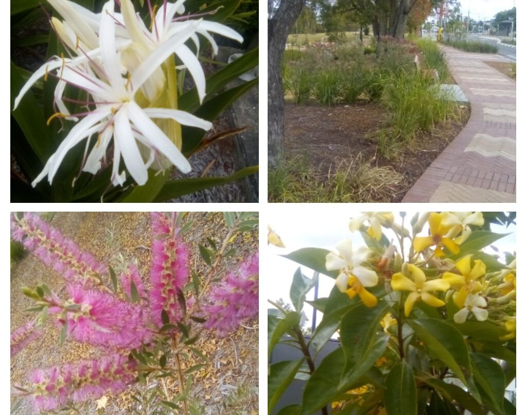 Davidson Park Beaudesert Qld