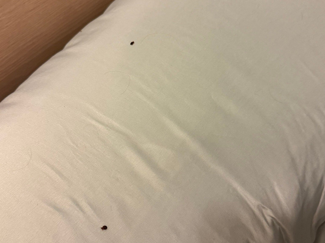 Royal Host Motel主图