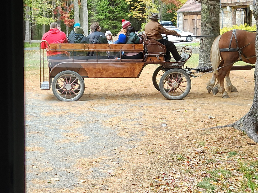 Oli's Trolley - Acadia National Park Tour-巴港必去景点