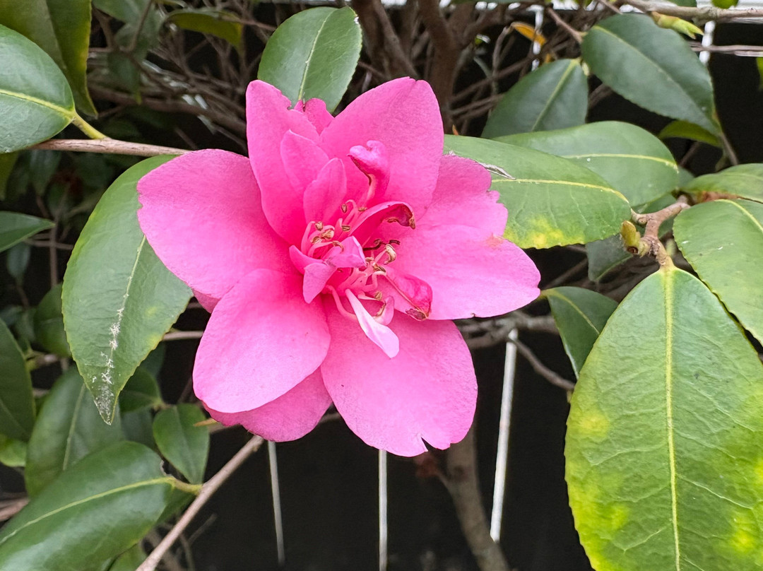 切尔西尼尔森汽车旅馆主图