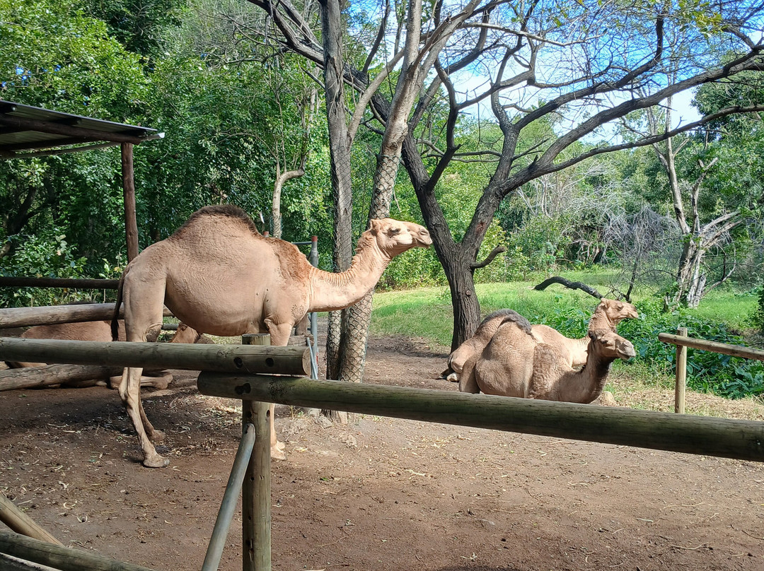 Super Holidays Mauritius-卓欧毕雪必去景点