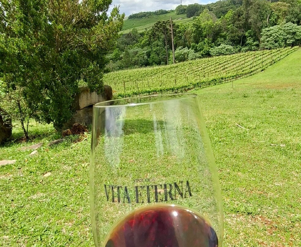Vinicola Vita Eterna - Degustação e Wine Garden-Pinto Bandeira必去景点