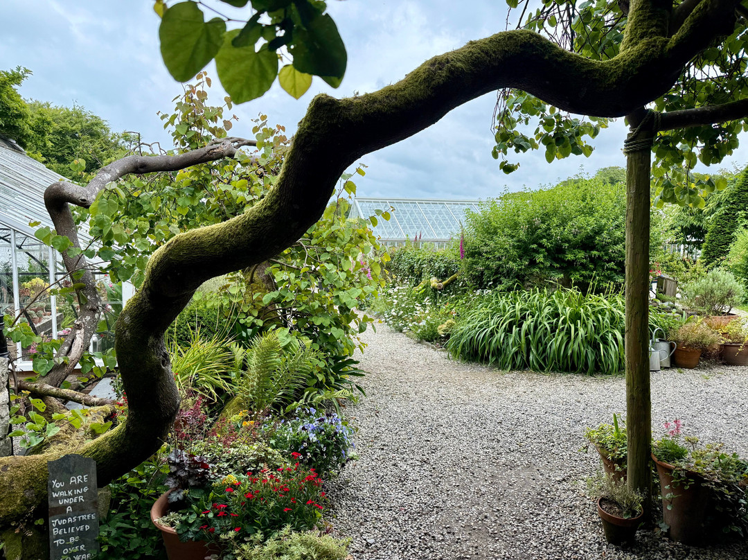 Clovelly Court Gardens-Clovelly必去景点