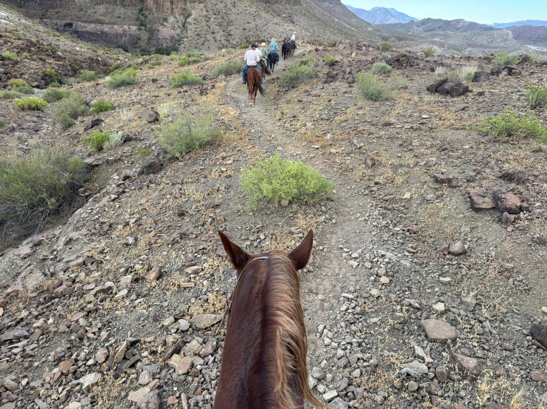 Big Bend & Lajitas Stables-Terlingua必去景点