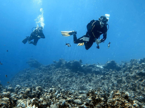 Liquid Adventures Dahab-达哈卜必去景点