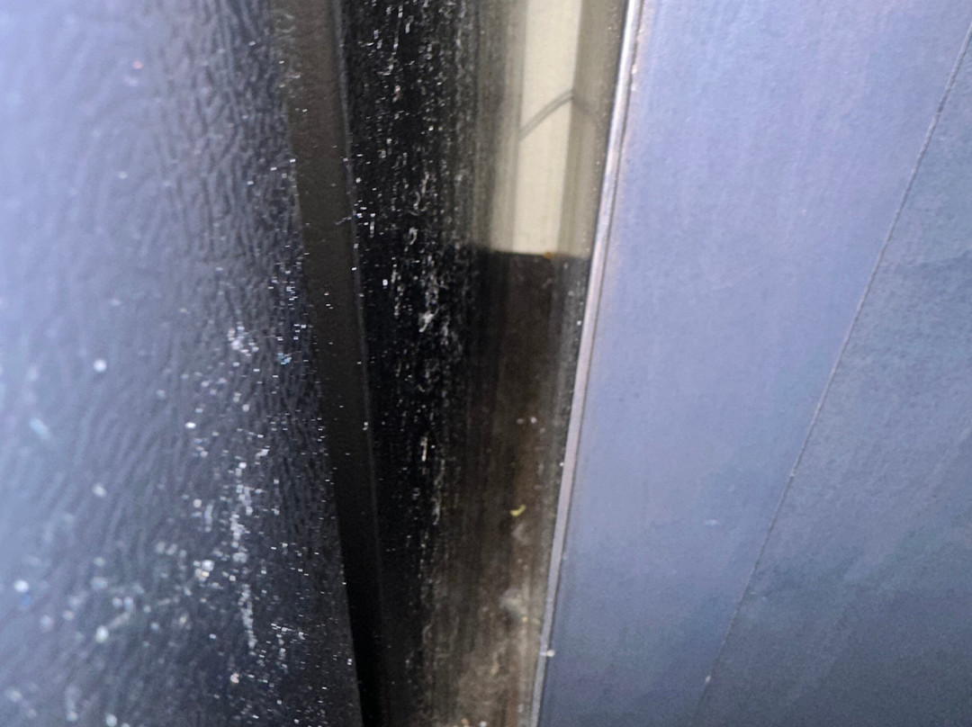 Candlewood Suites Bloomington By IHG主图