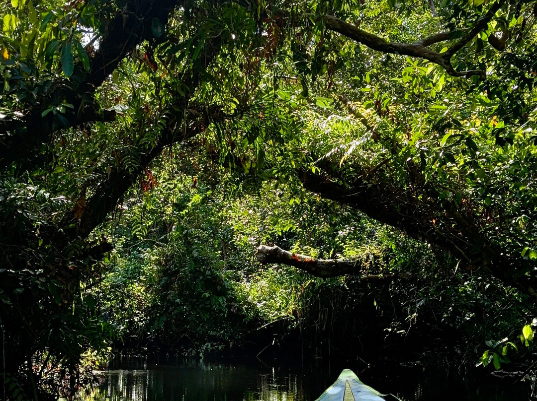 Sister Tour-Pangkalan Bun必去景点