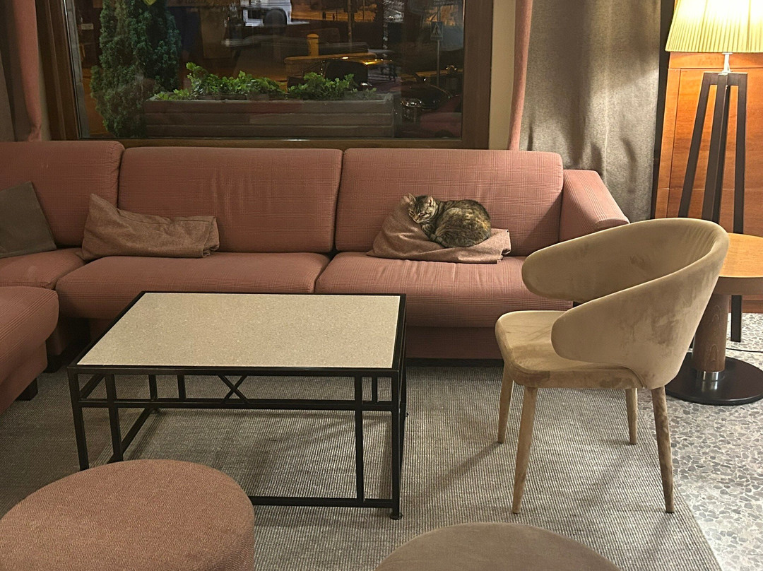 Hotel Pessets Restaurant & Spa主图