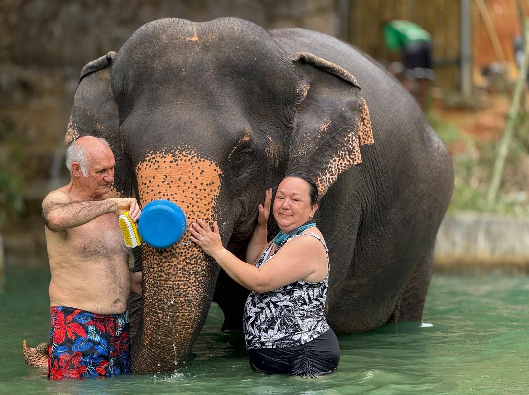 Phuket Elephant Care-奈通必去景点
