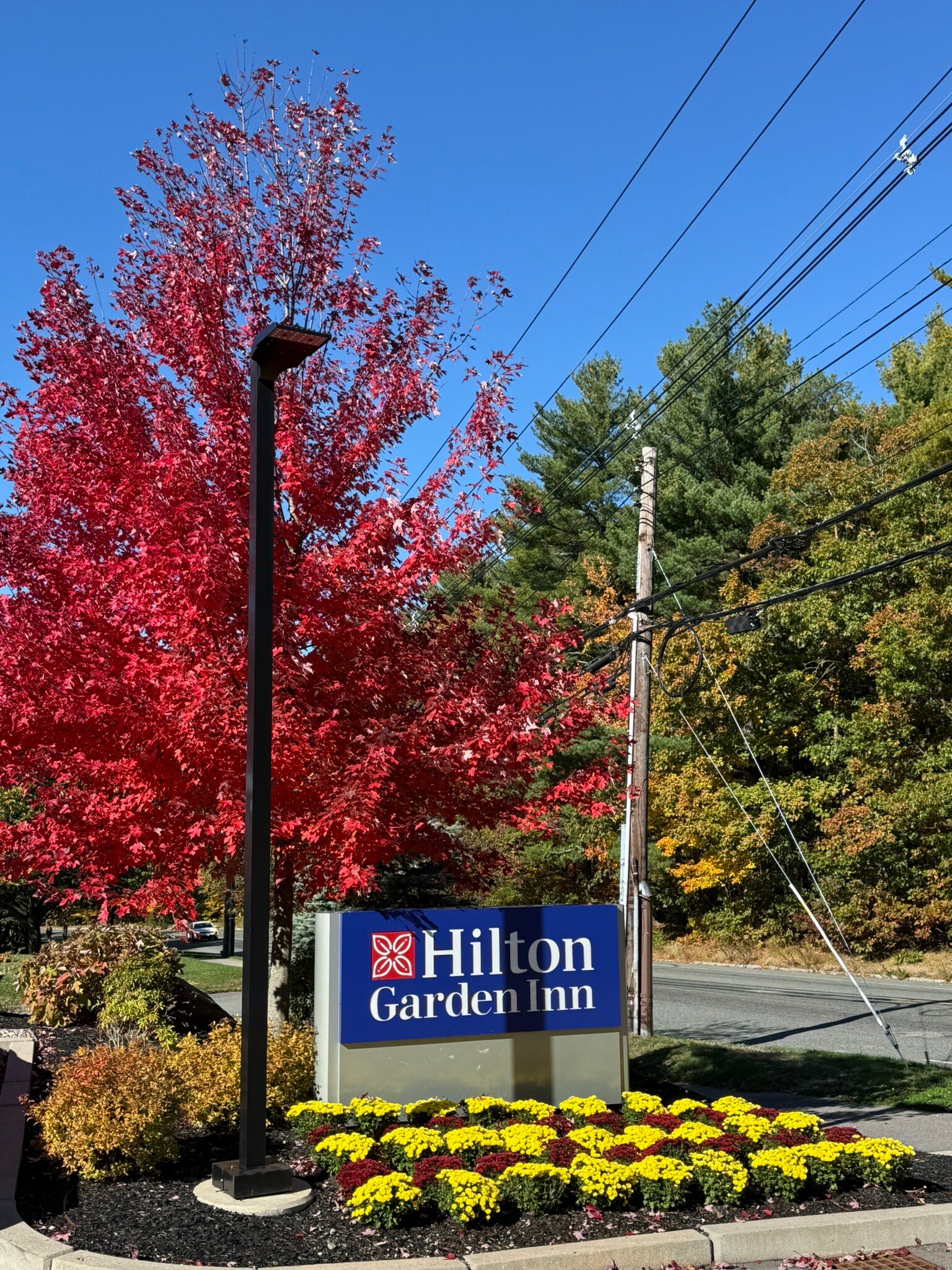 Hilton Garden Inn Boston Canton-官方