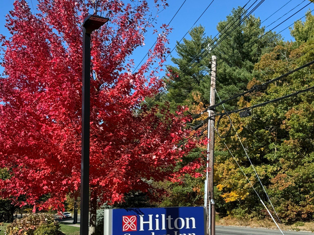Hilton Garden Inn Boston Canton主图