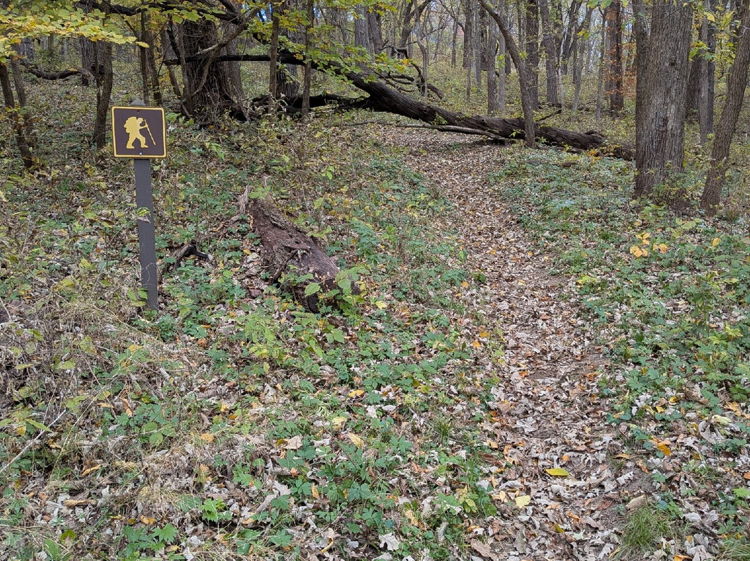 Stone State Park-苏城必去景点