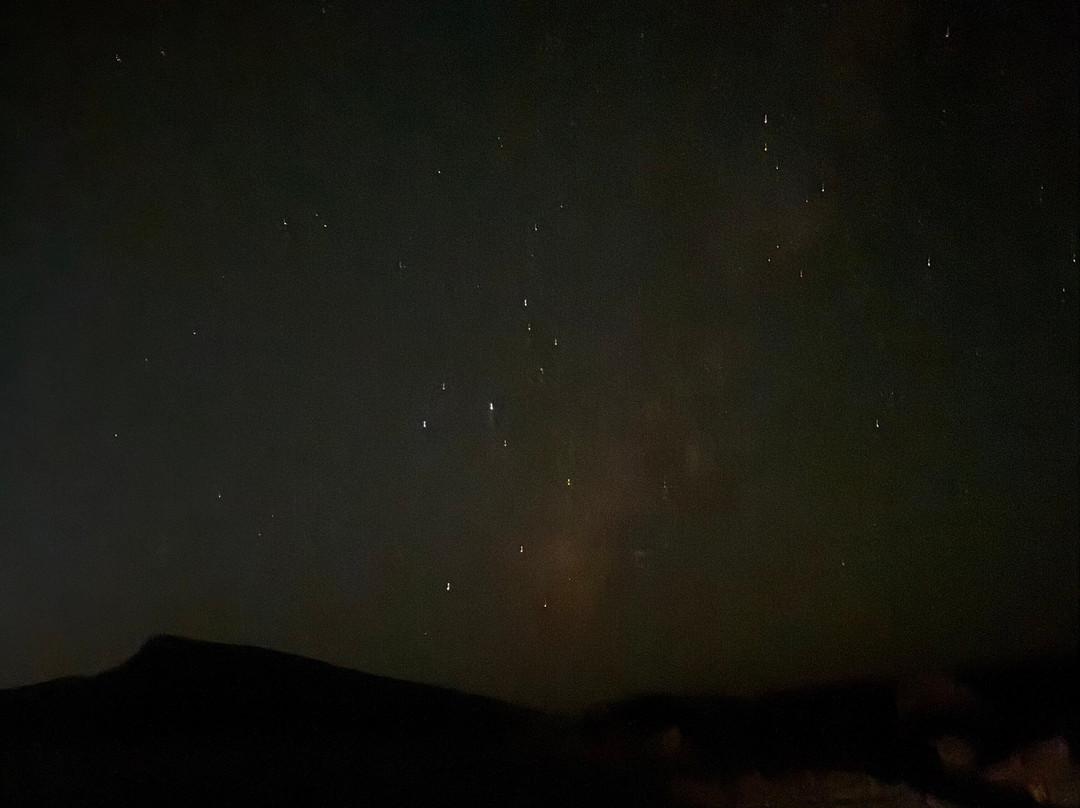 Shark Encounters Mexico-拉巴斯必去景点