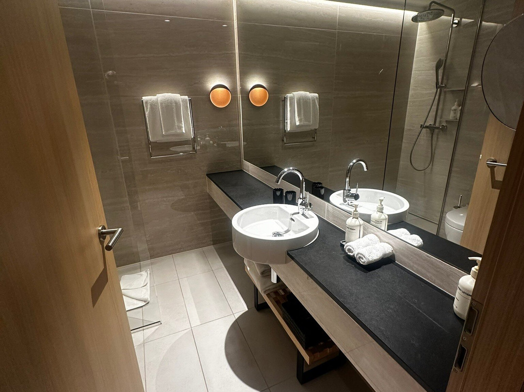 Adina Apartment Hotel Geneva主图