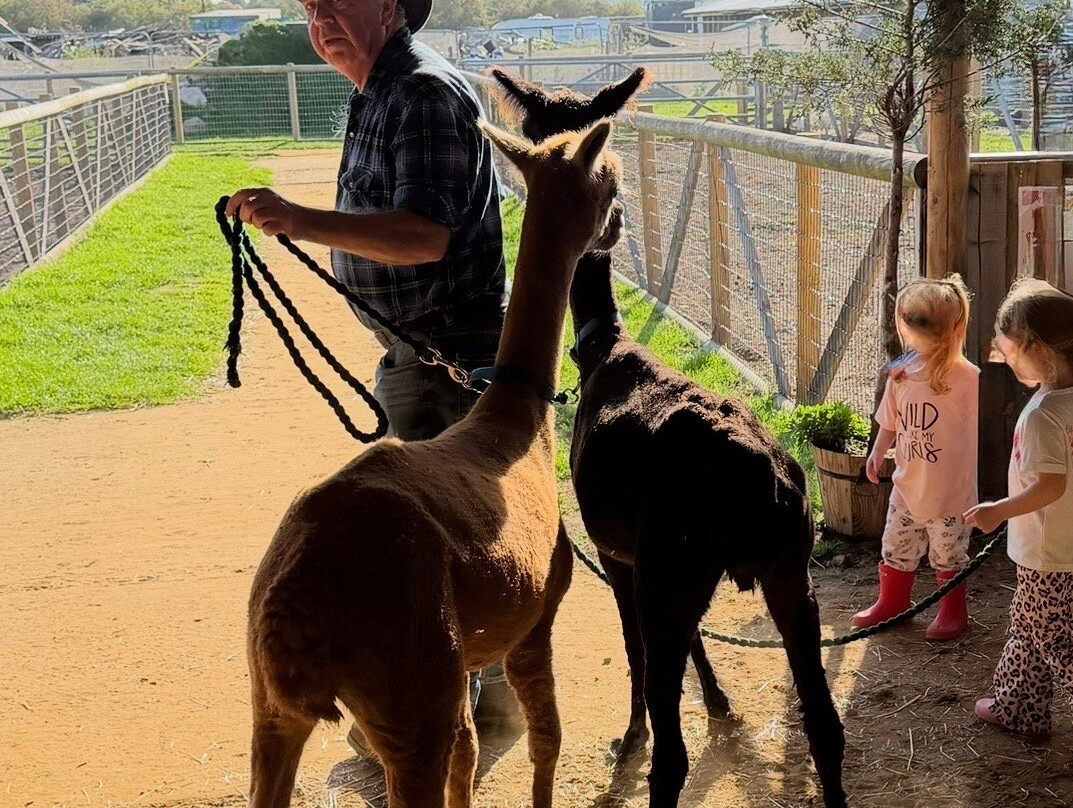 Milestone Ranch Country Park-唐克斯特必去景点
