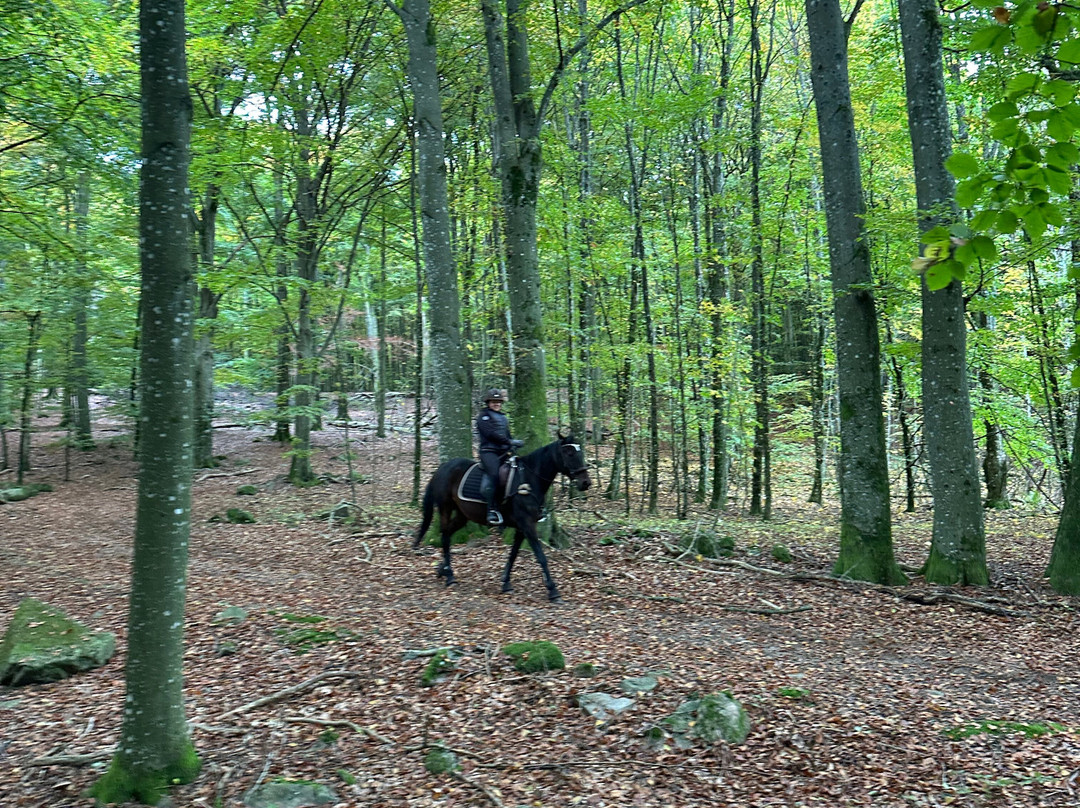 Tostarp Bed'n Ride-Ljungbyhed必去景点