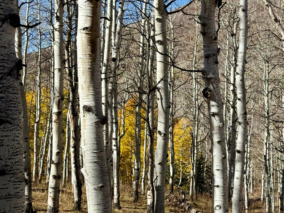 North Forty Escapes-Oakley必去景点