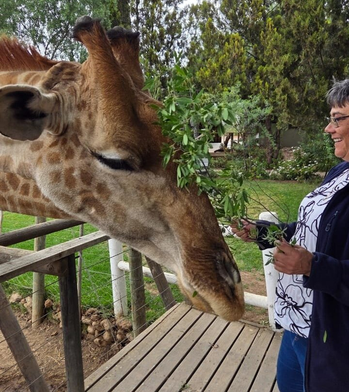 Chandelier Game Lodge & Ostrich Show Farm-奥兹洪必去景点