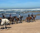 Horse Sidi Rahal-Sidi Rahal必去景点