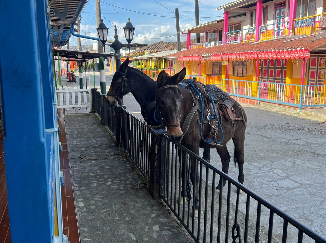 LA JUANA COLOMBIA-Neira必去景点