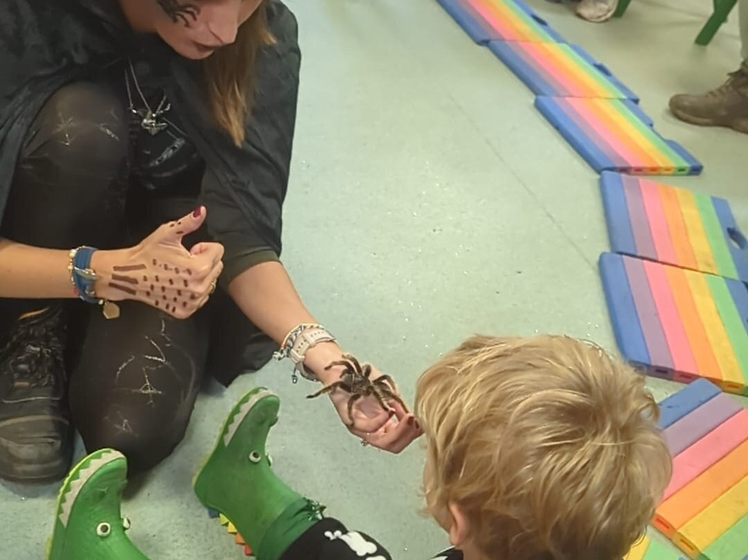 Bromley Parks Environmental Education-奥尔平顿必去景点