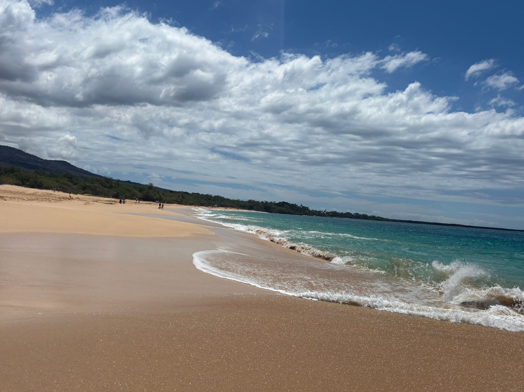 Makena State Park-维雷亚必去景点