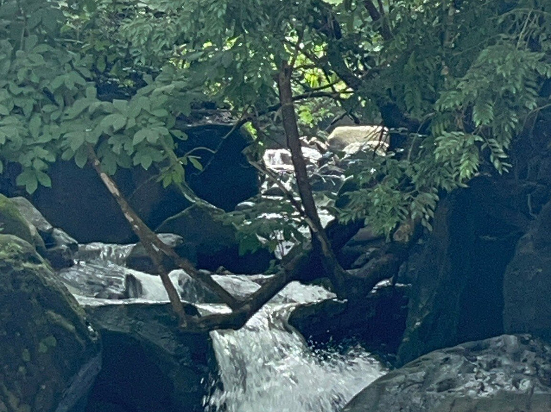 Rio Perdido-巴加塞斯區必去景点