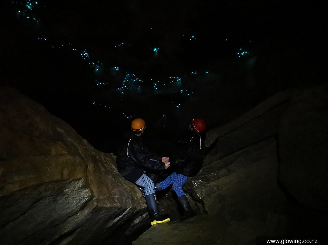 Down To Earth - Eco Cave Tours In Waitomo-怀托摩洞穴必去景点