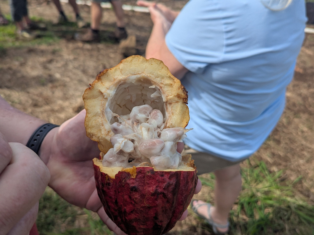 Puna Chocolate Company-凯鲁瓦-柯纳必去景点