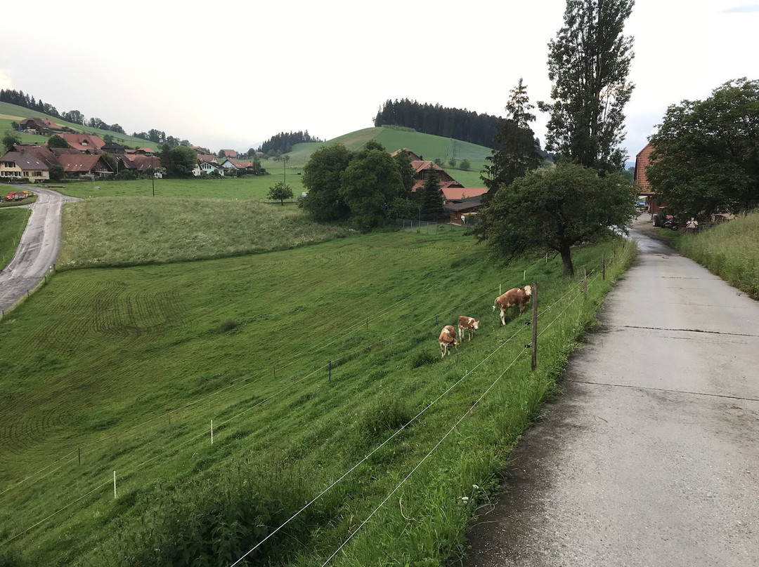 Hotel Appenberg主图