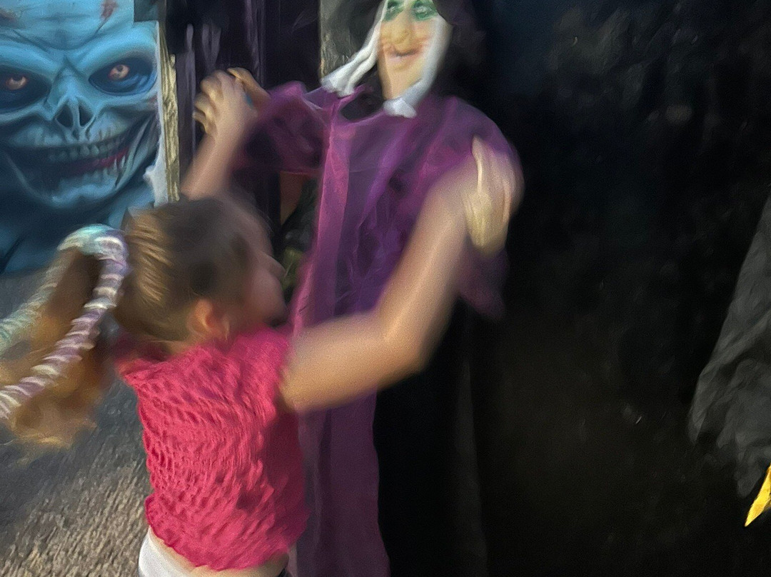 The Bug Parc-Lenwade必去景点