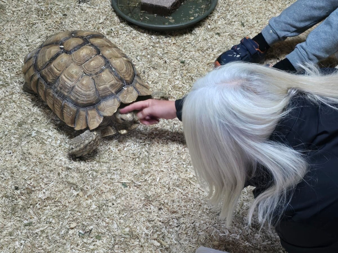 The Animal Experience-Stretham必去景点