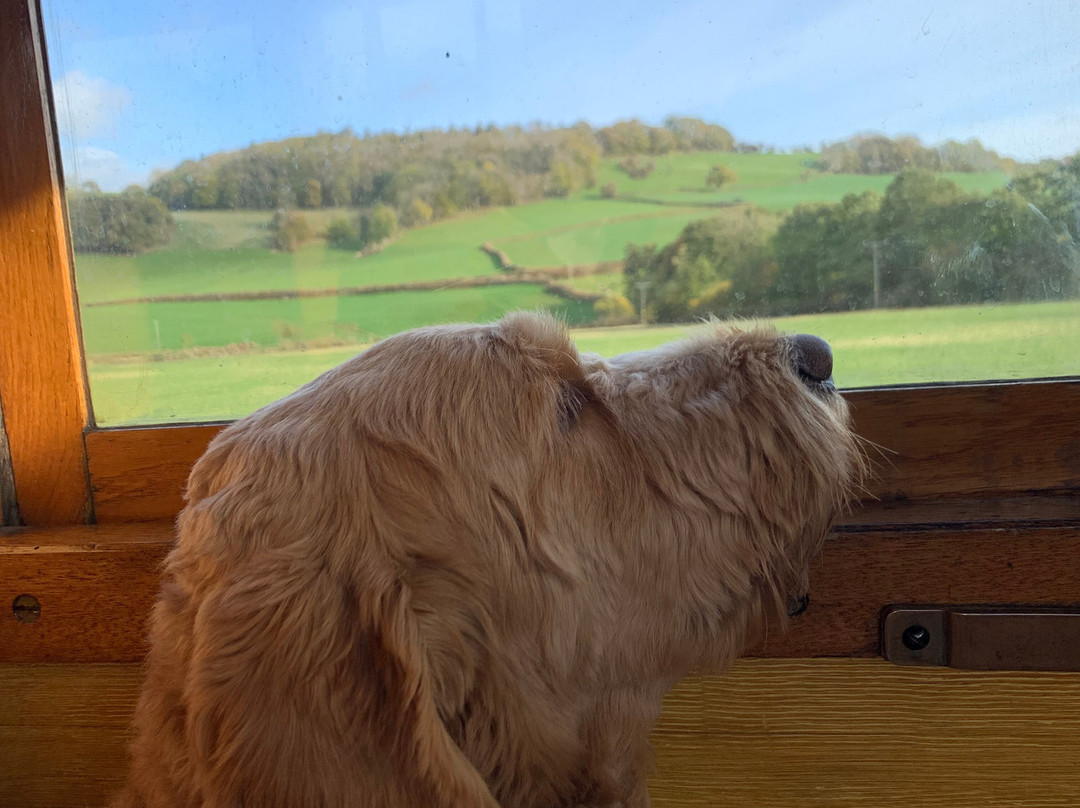 Welshpool and Llanfair Light Railway-Welshpool必去景点