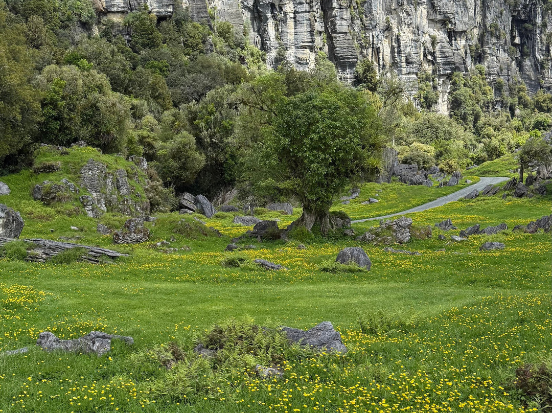 Hairy Feet Scenic Film Location Tour Waitomo-Piopio必去景点