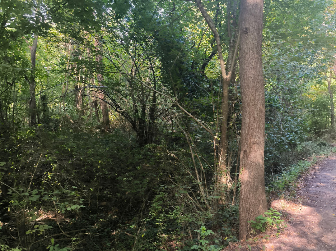 La Fageda Fundació-Santa Pau必去景点