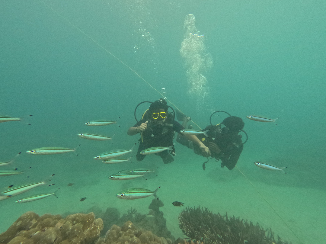 Turquoise Dream | PADI Dive Centre-Neil Island必去景点