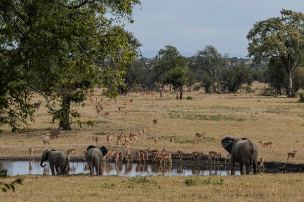 Sabi Sabi Selati Camp-浴室