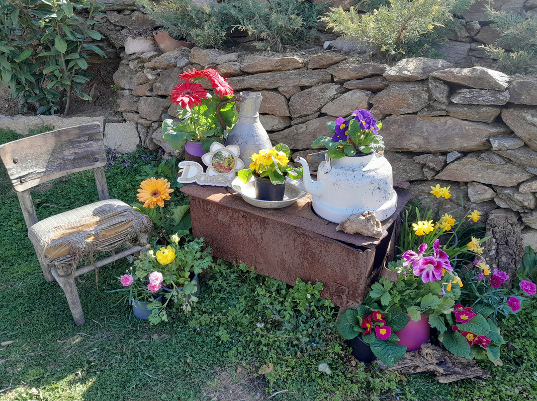 Ethno Village Dolene-Petrich必去景点