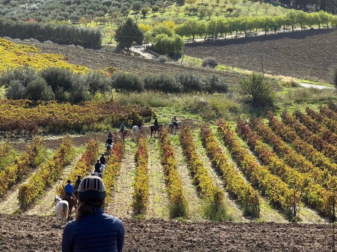 Ride Sicily-切法卢必去景点