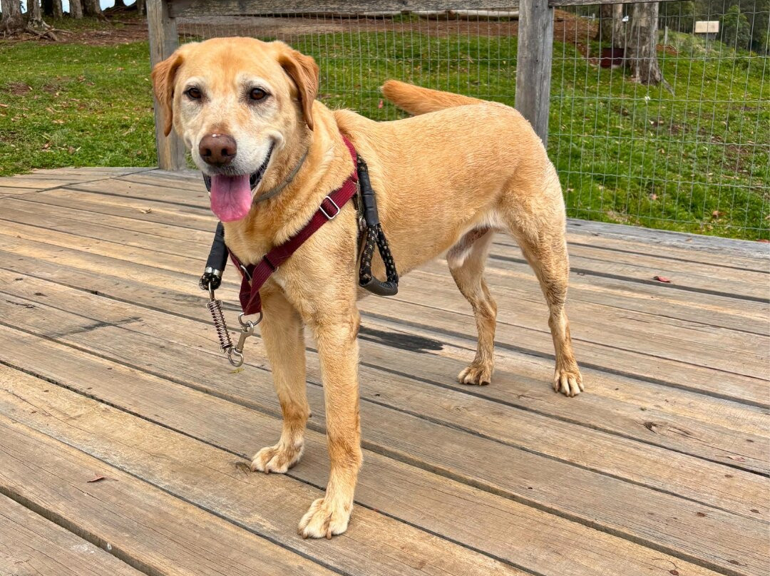 Pico do Monte Claro-Veranopolis必去景点