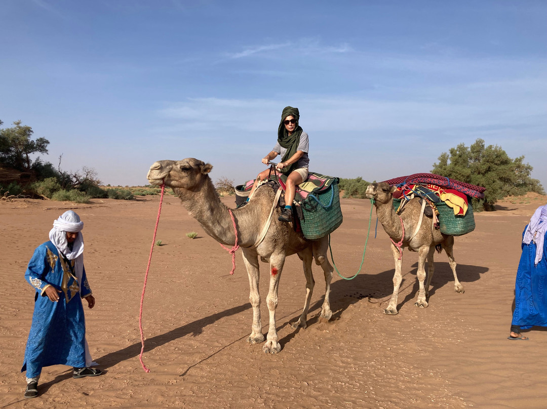 Wild Morocco-扎古拉必去景点